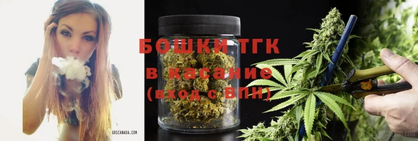 ПСИЛОЦИБИНОВЫЕ ГРИБЫ Алексеевка