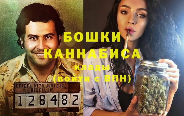 ПСИЛОЦИБИНОВЫЕ ГРИБЫ Алексеевка