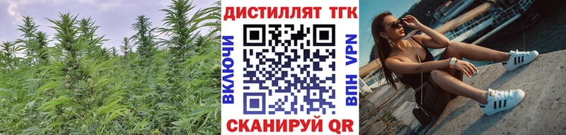 как найти закладки  Майкоп  Дистиллят ТГК вейп 