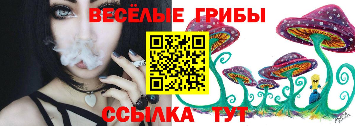 Псилоцибиновые грибы Cubensis Майкоп