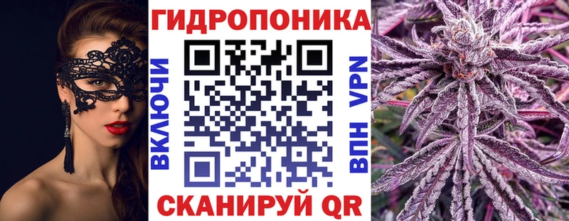 Канабис сатива Майкоп